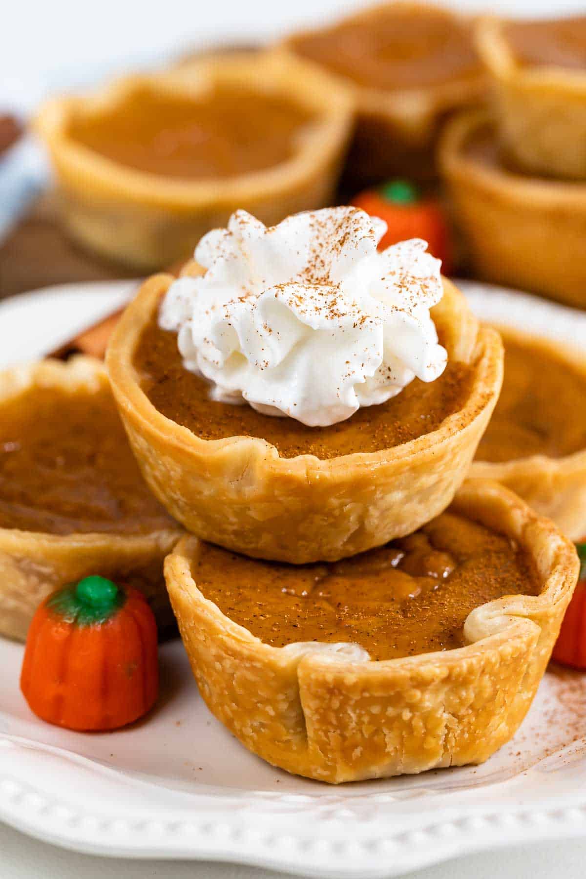 Mini Pumpkin Pie